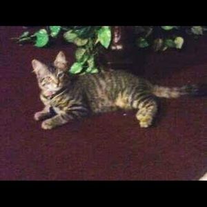 Meet your Posher, Maria